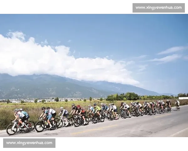 1500 骑手逐风苍洱!大理环洱海自行车赛开赛 1500 骑手逐风苍洱!大理环洱海自行车赛开赛