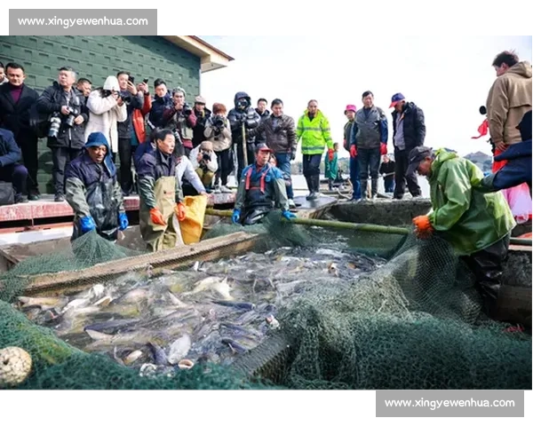 芜湖乡村文旅季 “村钓” 收竿:千顷碧波间的渔乐终章 芜湖乡村文旅季 “村钓” 收竿:千顷碧波间的渔乐终章