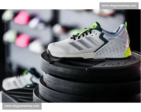 阿迪达斯携手全力游戏，2025 亚洲体能总决赛沪上收官